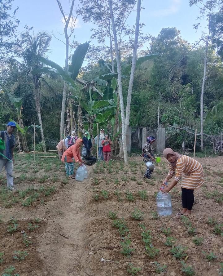 KWT Gayatri Sangkrek Bersama-Sama Piket Menyiram Tanaman